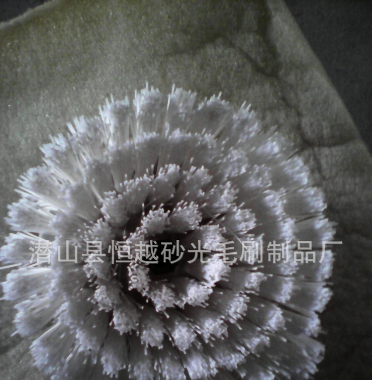 定做系列工業(yè)毛刷試管刷磨料條刷輥尼龍條刷 清洗圓盤刷