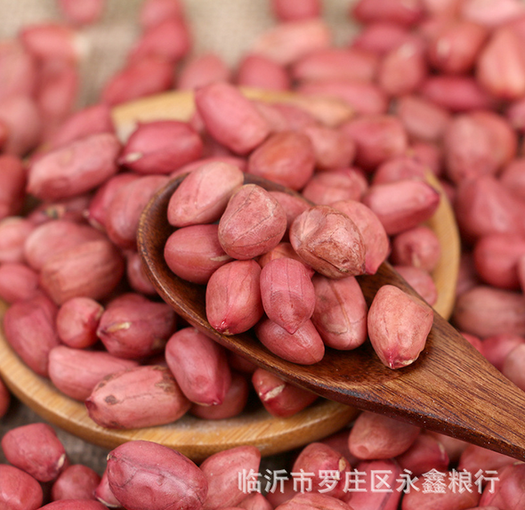 四粒紅花生米 批發(fā)東北四粒紅農(nóng)家花生 紅皮小?；ㄉ孜骞入s糧