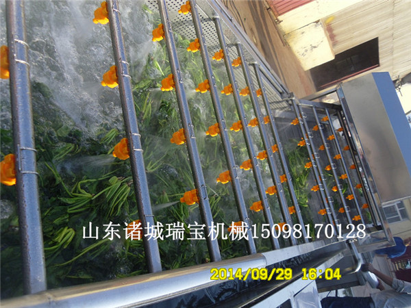 云南大姜清洗-氣泡清洗機(jī)-果蔬清洗流水線