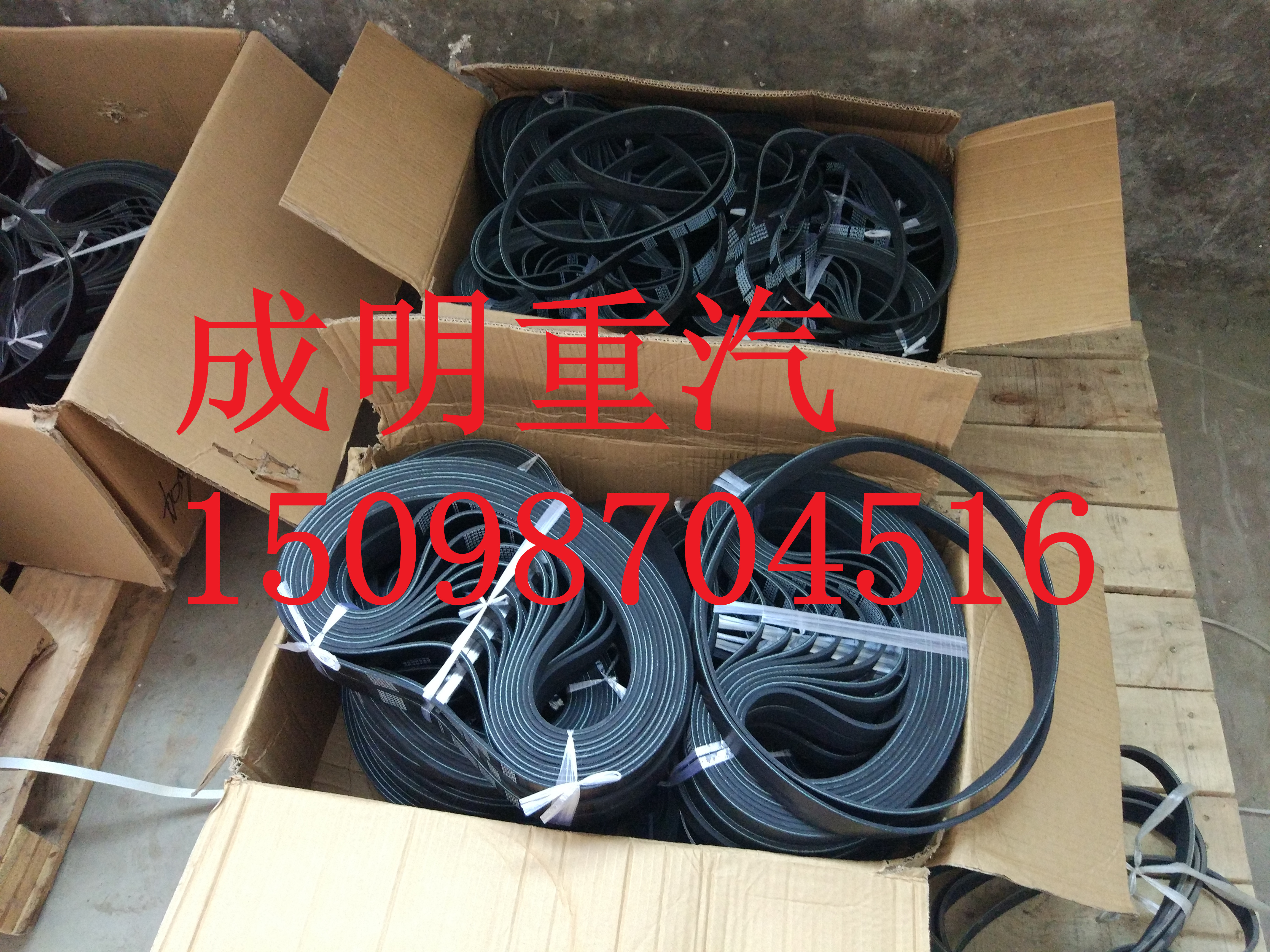 612600061294風(fēng)扇皮帶N