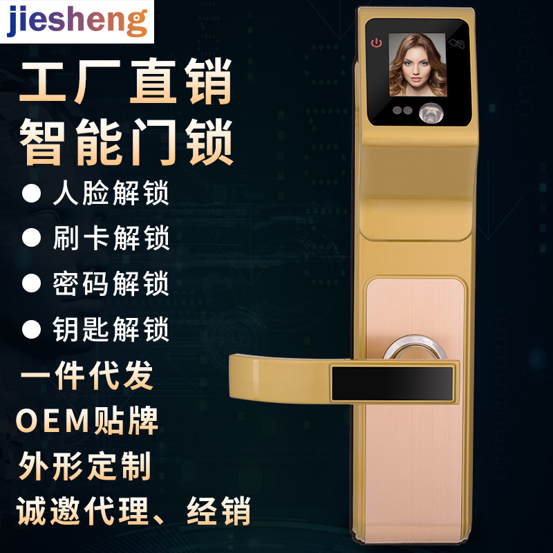 人臉鎖電子密碼鎖 門禁電控鎖