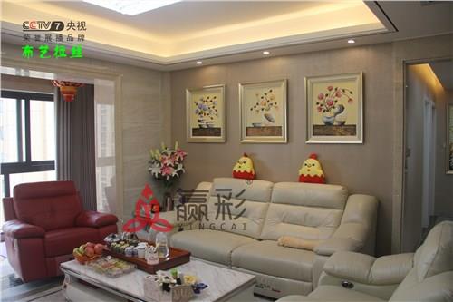 廣東肌理壁膜廠家供應(yīng)|贏彩肌理壁膜代理加盟贏彩供