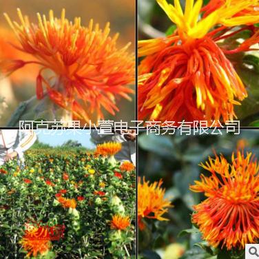 果小萱 新疆紅花袋裝500g 批發(fā)供應(yīng)優(yōu)質(zhì)花草茶 調(diào)經(jīng)養(yǎng)顏