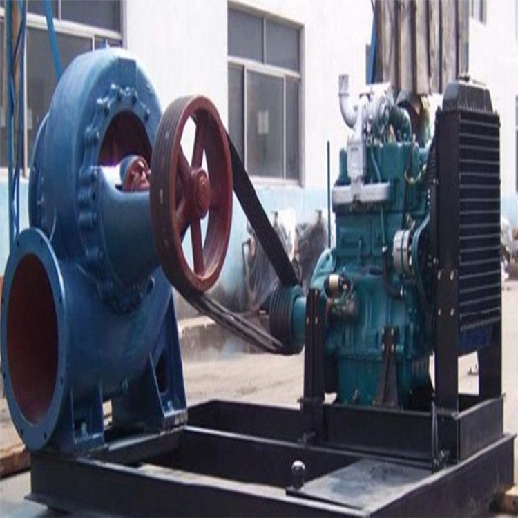 河北HW型混流式水泵廠家 650HW蝸殼式魚塘養(yǎng)殖用混流泵價格