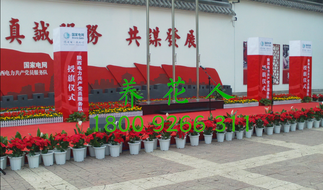 西安臨時(shí)租擺