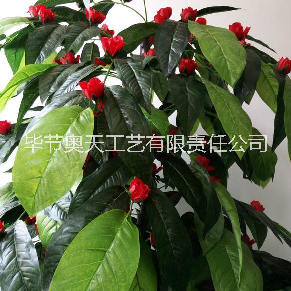 植物葉片廠家直銷仿真綠植  裝飾 植物葉片仿真綠植盆景系列