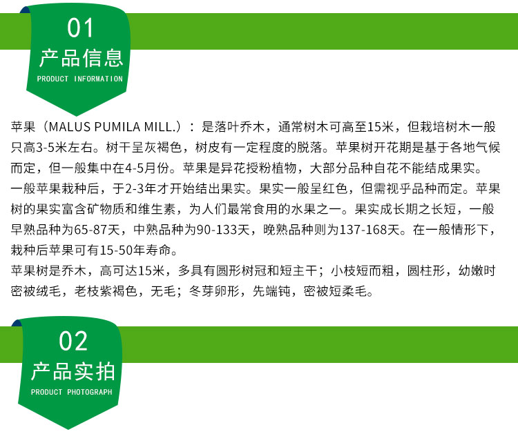 山東蘋果樹基地|山東3-15公分蘋果樹批發(fā)|山東蘋果樹價(jià)格
