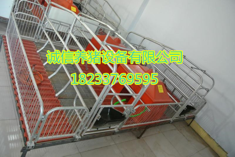 母豬產(chǎn)床母豬分娩床養(yǎng)豬設備豬床河北生產(chǎn)廠價格專業(yè)設計批發(fā)