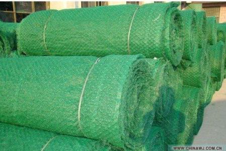 三維植被網(wǎng)生產(chǎn)廠家子那里？