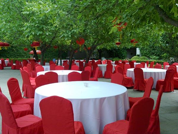 桌椅租賃 專業(yè)出租宴會(huì)椅 會(huì)議桌椅租賃 專業(yè)出租宴會(huì)椅