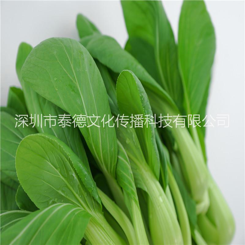 泰德寶島菜園 上海青 約250g