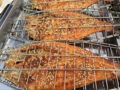 姜太公吊爐烤魚用什么樣的設(shè)備