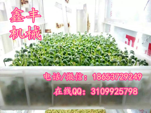 江蘇豆芽機(jī)廠家直銷   全不銹鋼豆芽機(jī)   全自動(dòng)大型