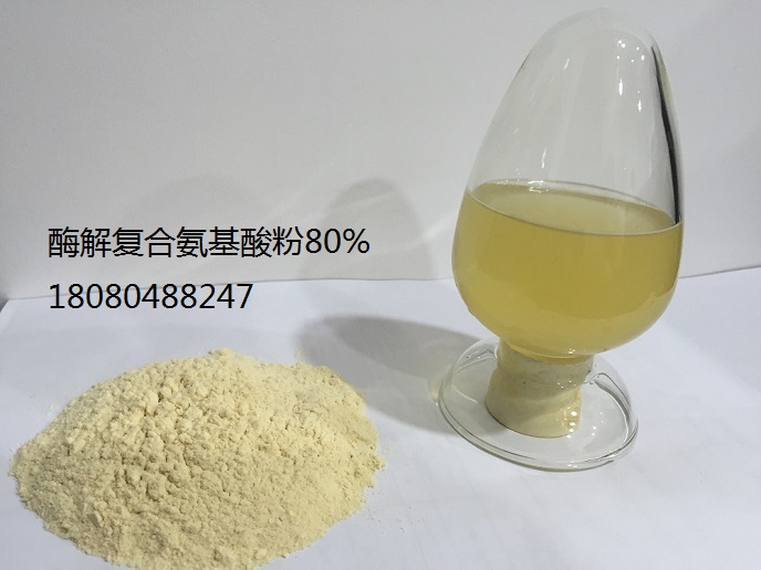 復(fù)合氨基酸粉80%粉植物酶解水解氨基酸粉80%