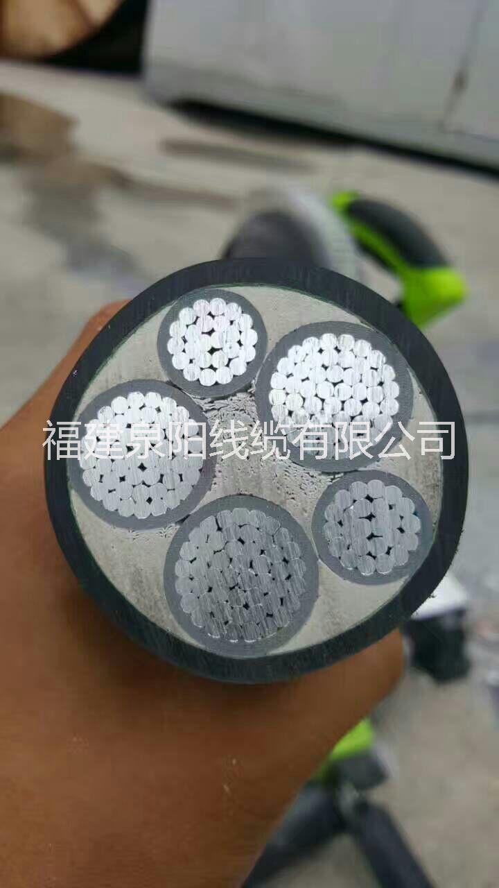 泉州鋁芯電纜，福州電纜廠家，廈門電纜廠家，三明電纜，南平電纜廠家，泉州電纜廠家，龍巖電纜，寧德電纜，莆田電纜廠家