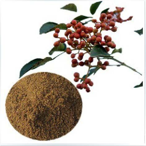 天然花椒粉 燒烤 廚房 調(diào)味品