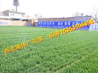 達(dá)州市墻體廣告只找專業(yè)的15353596698