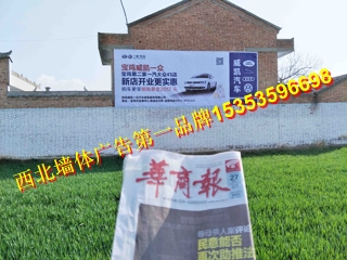 成都市墻體廣告只找專業(yè)的15353596698