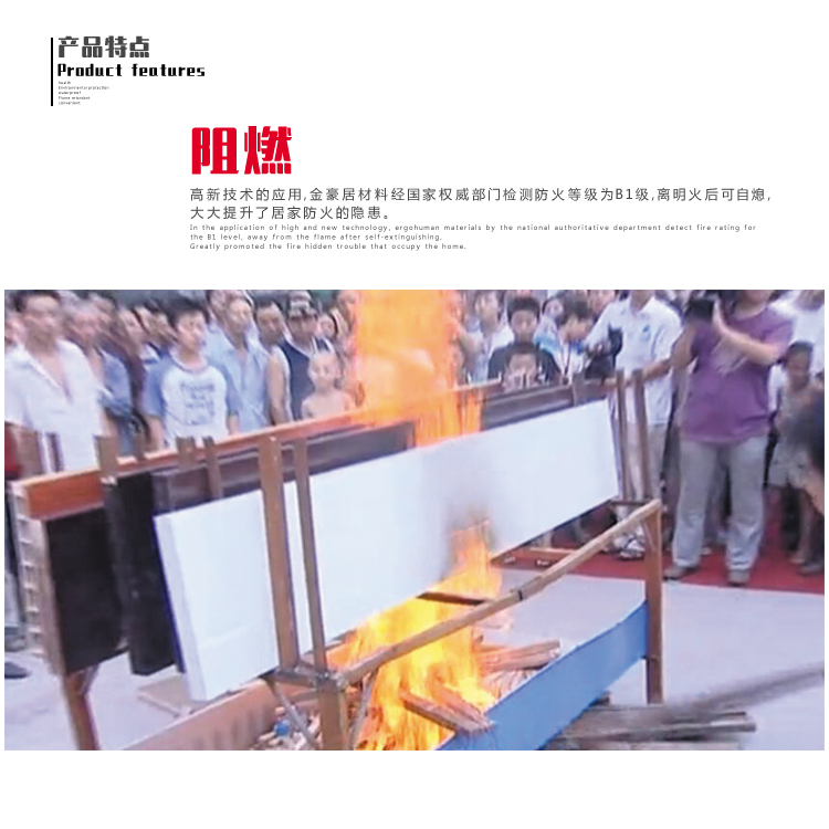 竹木纖維室內(nèi)門 室內(nèi)門 環(huán)保門 木塑門 竹木纖維