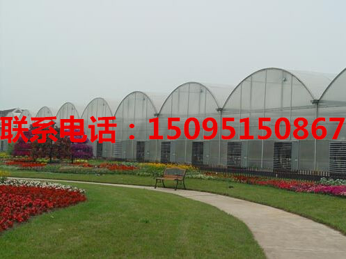 供應(yīng)薄膜溫室大棚 薄膜連棟溫室大棚 連棟溫室設(shè)計加工定做