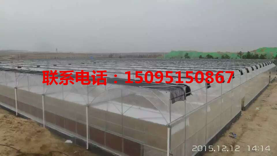 蔬菜大棚批發(fā)，薄膜種植溫室批發(fā)，蔬菜溫室批發(fā)