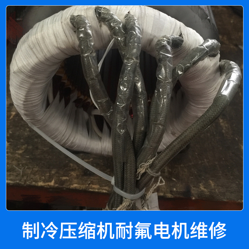 制冷壓縮機(jī)耐氟電機(jī)維修制冷壓縮機(jī)電機(jī)空調(diào)壓縮機(jī)電機(jī)維修保養(yǎng)