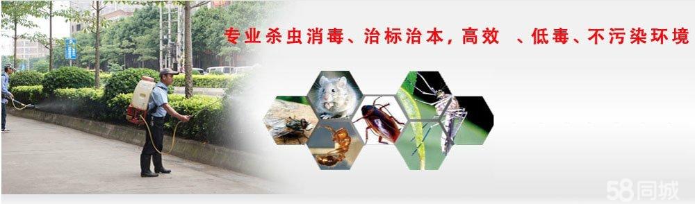 清遠(yuǎn)酒店衛(wèi)生四害消滅服務(wù) 專業(yè)衛(wèi)生四害消滅施工 清遠(yuǎn)酒店白蟻防治