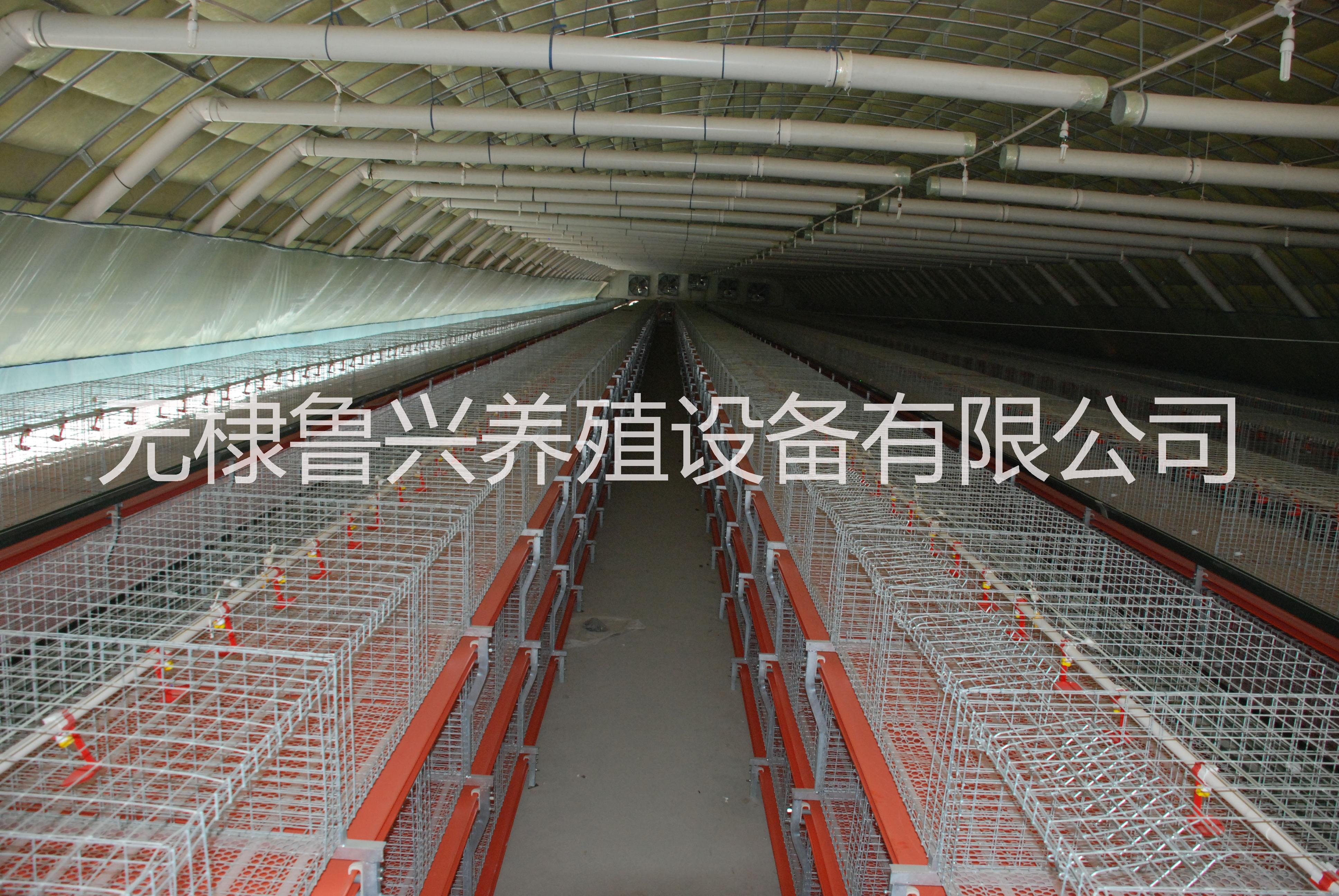 肉雞養(yǎng)殖設(shè)備廠家自動化養(yǎng)殖設(shè)備養(yǎng)