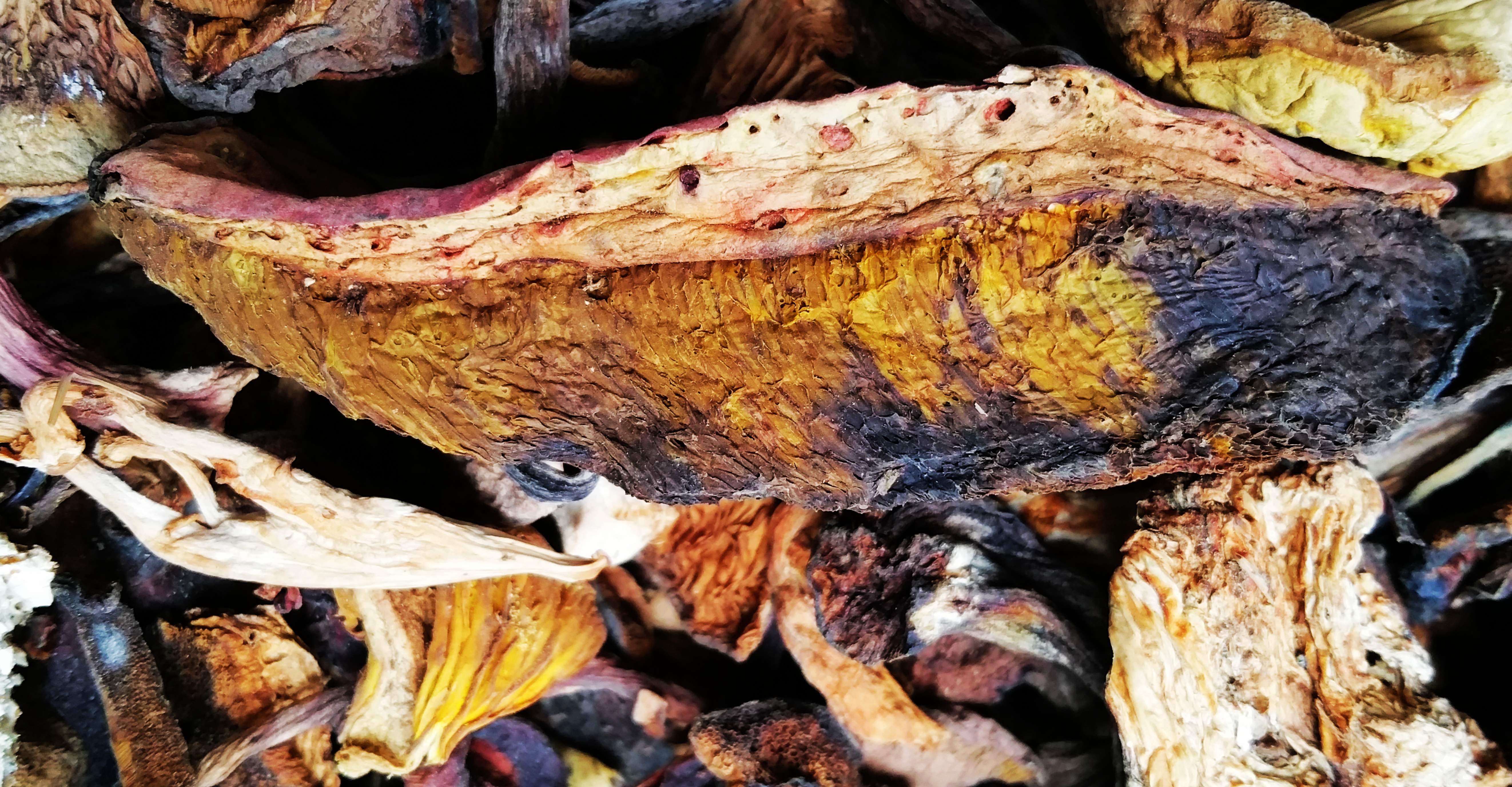 *菌火鍋底料廠家直銷|*菌湯火鍋底料配方|成都*菌湯配料