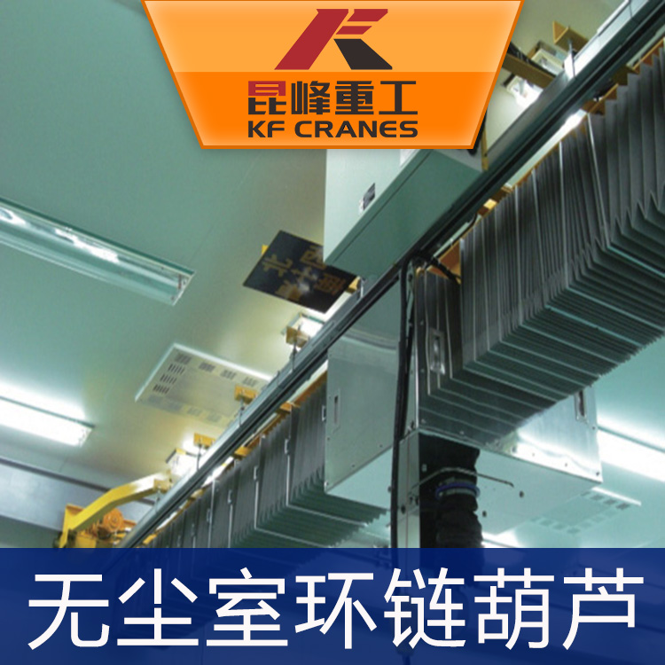 蘇州20噸 25噸歐式無塵室起重 蘇州20 25噸歐式無塵室起重機(jī)