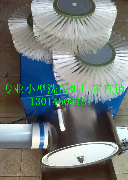 小型自動(dòng)毛刷版洗蛋機(jī)