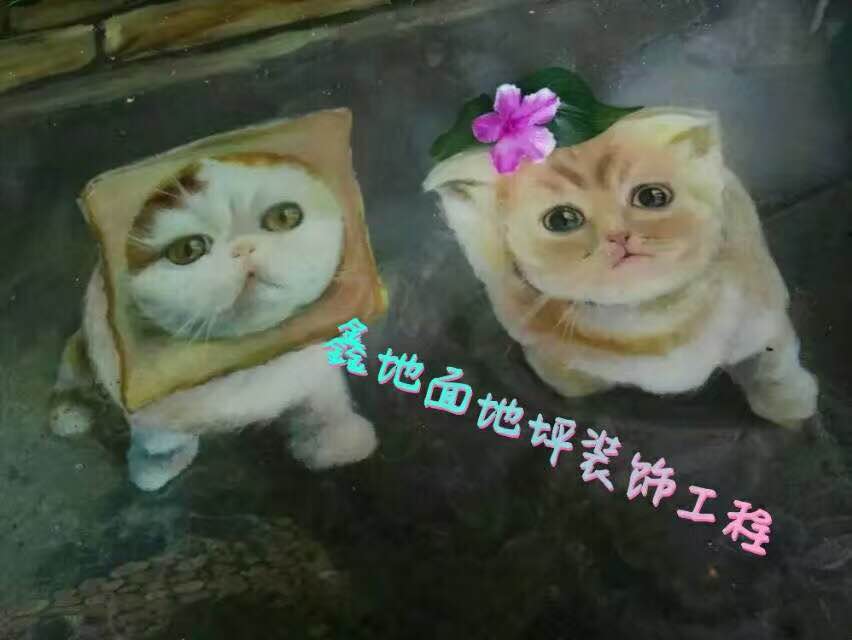 貴州3D藝術(shù)地坪 貴州地坪供應(yīng) 地坪供應(yīng)價(jià)格