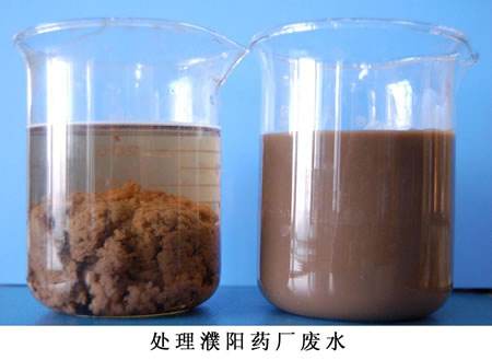 污水處理 聚合硫酸鐵  污水處理廠家 聚丙烯酰胺價(jià)格 凈水劑