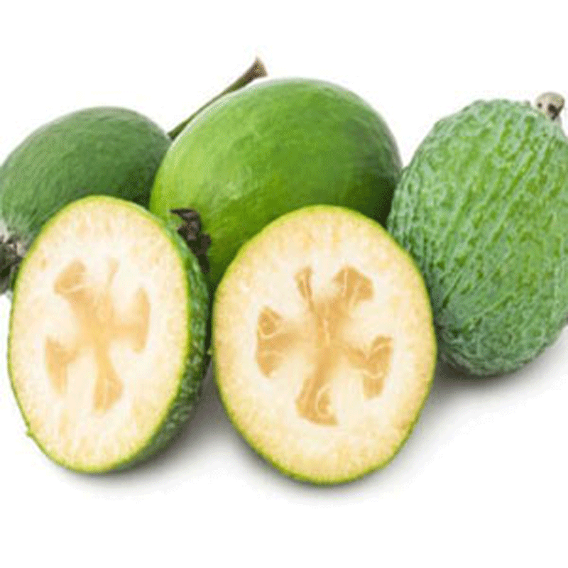 菲油果香 費(fèi)約果吃 斐濟(jì)果