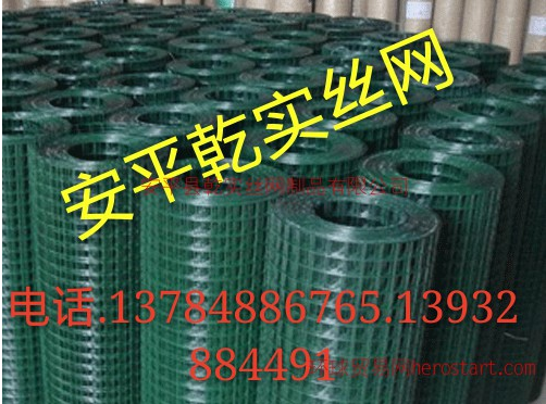 鍍鋅電批發(fā)鍍鋅電焊網(wǎng)價格鍍鋅電焊網(wǎng)供應(yīng)商鍍鋅電焊網(wǎng) 浸塑荷蘭網(wǎng)