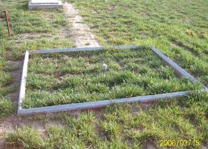 NLZS-10型 稱重式蒸滲儀