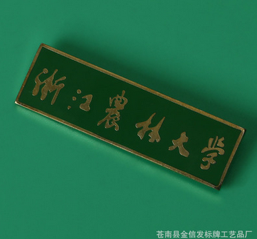 專業(yè)定制琺瑯鍍金烤漆不銹鋼合金防銹金屬工藝品紀(jì)念徽章 定制紀(jì)念徽章