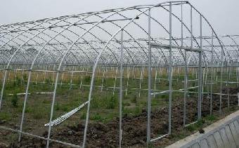 江西寬8米的養(yǎng)殖大棚骨架貴州育苗棚造價(jià)山西建蔬菜大棚