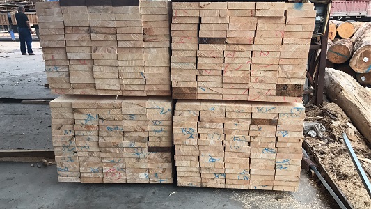 淮南四級加松批發(fā)