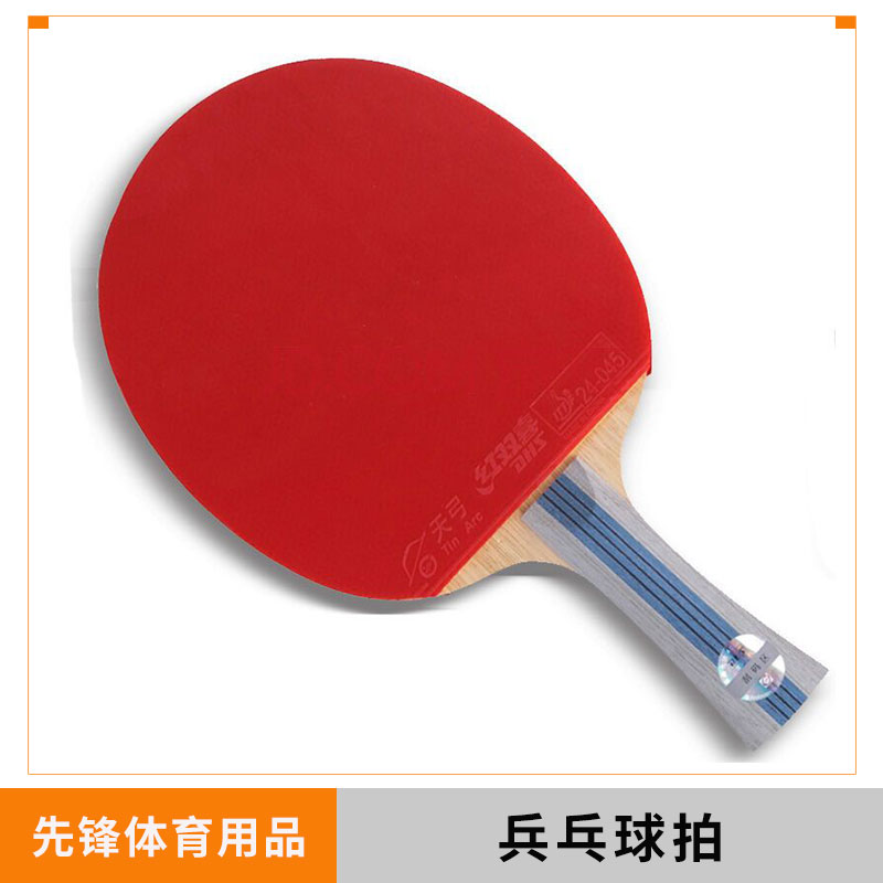 廠家直銷 新品 兵乓球拍  2拍3球 乒乓拍套裝 大量現(xiàn)貨 一件代發(fā)