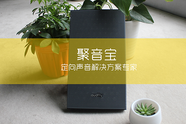 聚音寶一體式超指向性揚(yáng)聲器
