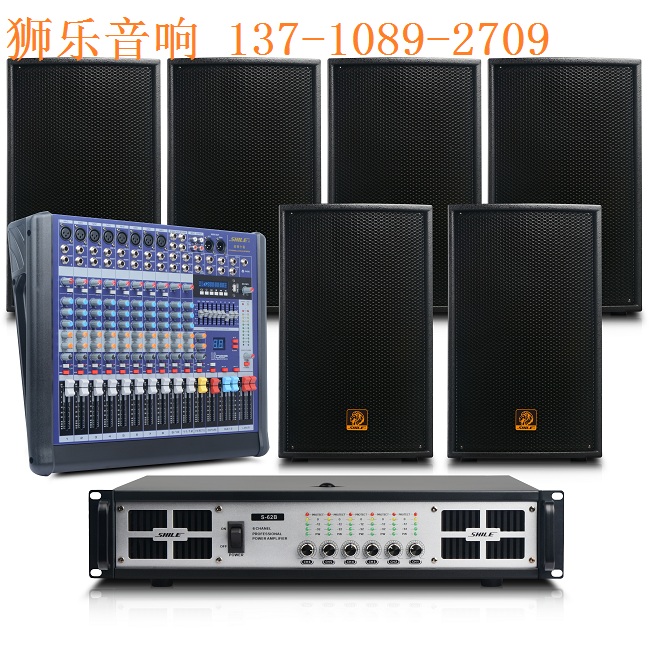 會(huì)議室 KTV 家庭專業(yè)音響  十二寸專業(yè)舞臺(tái)音響大型會(huì)議室KTV包房戶外活動(dòng)婚慶音響