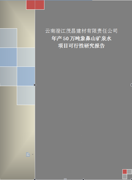 礦泉水項(xiàng)目可行性研究報(bào)告