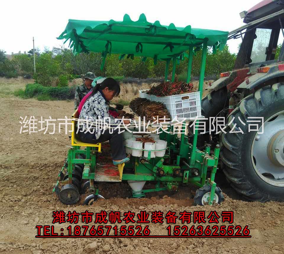 辣椒 多功能移栽機  栽苗機 娃娃菜