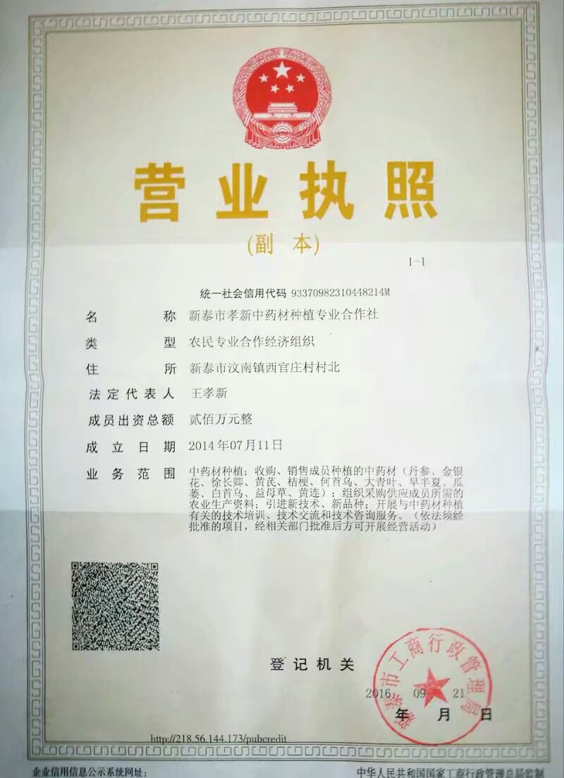 徐長卿合作社 常年供應(yīng)大貨 有各種規(guī)格 歡迎購貨。