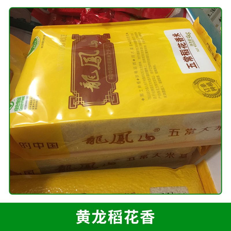 水稻種植基地直銷 黃龍稻花香 東北五常大米稻花香米 國產(chǎn)東北大米新米
