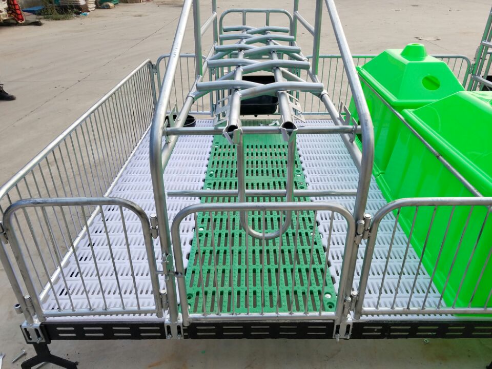 河南開封豬場安裝母豬產(chǎn)床多少錢