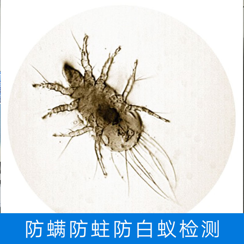 防螨防蛀防白蟻檢測(cè) 螨蟲蛀蟲白蟻等害蟲驅(qū)除檢測(cè) 經(jīng)驗(yàn)豐富技術(shù)*