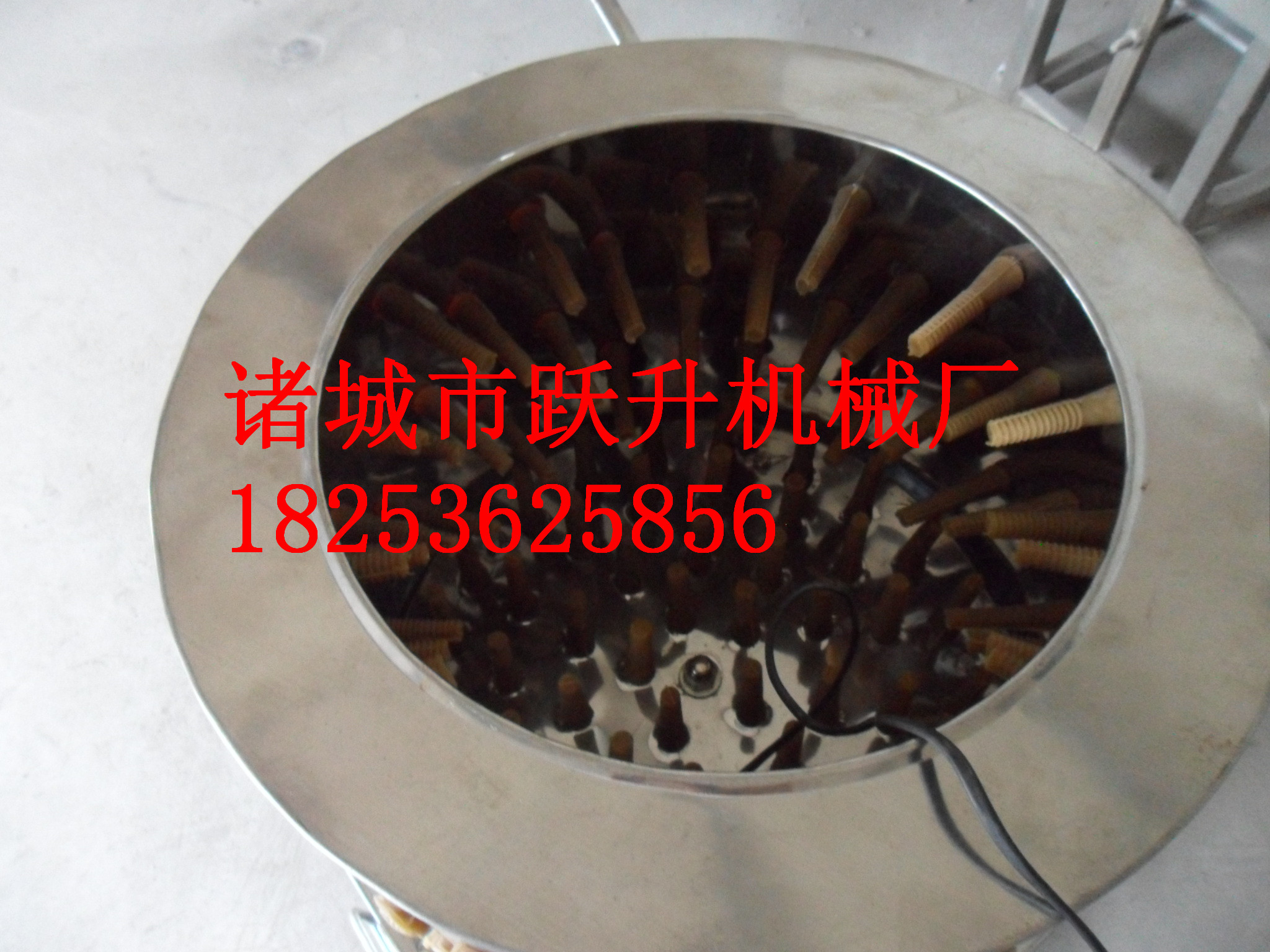雞脫毛機(jī)特價(jià)批發(fā)