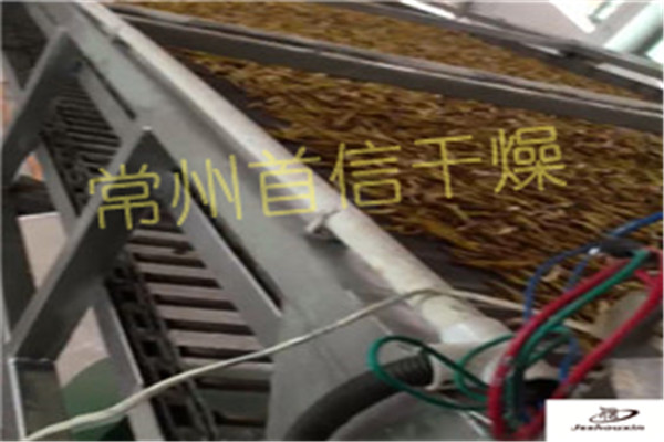 常州首信干燥黃花菜烘干設(shè)備